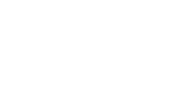 lesley flower co logo white