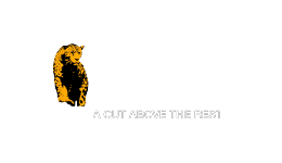 jagware 260x150