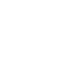 iron heroine logo inverted